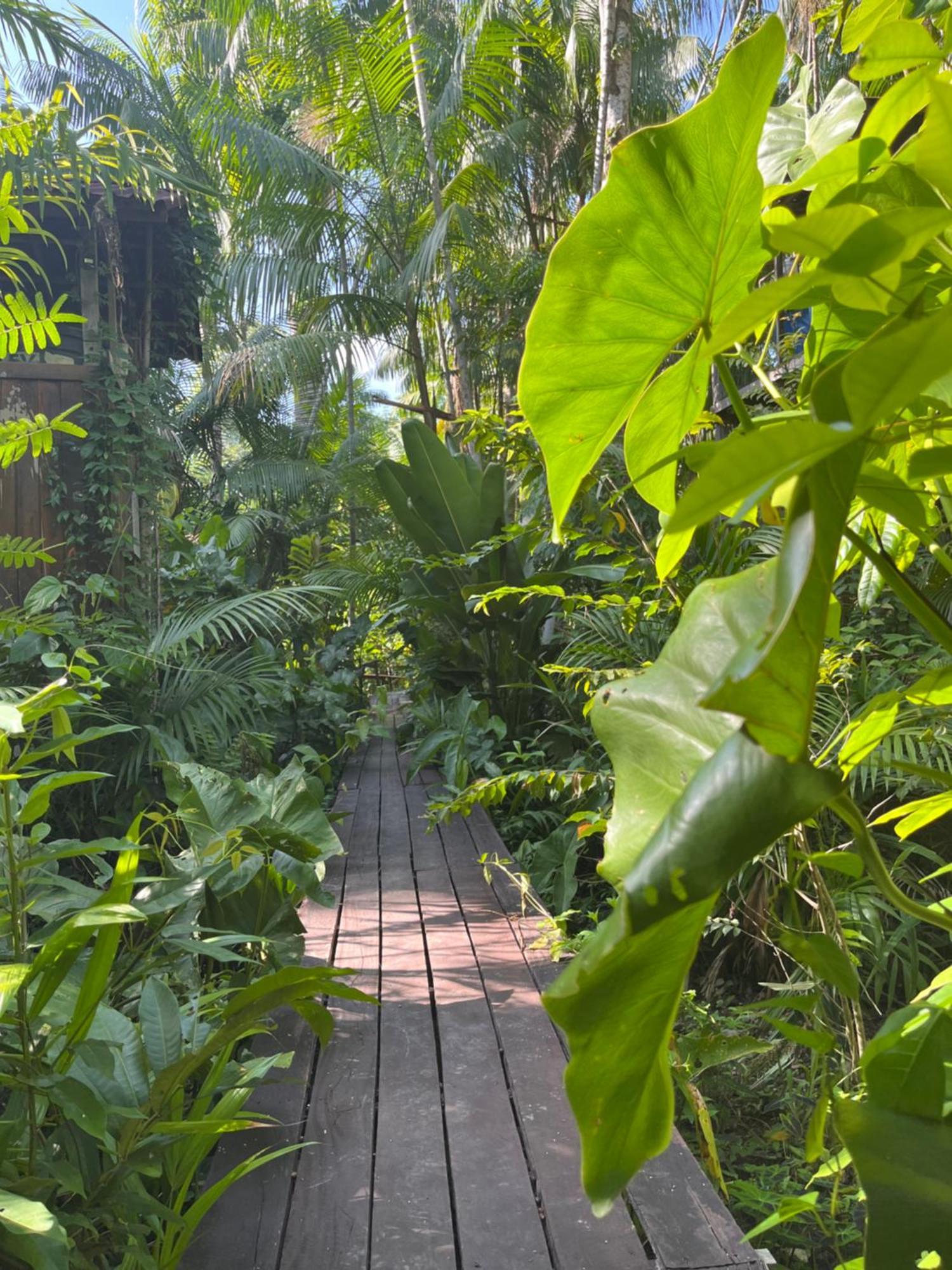 Olaria River Hostel เบเลม ภายนอก รูปภาพ