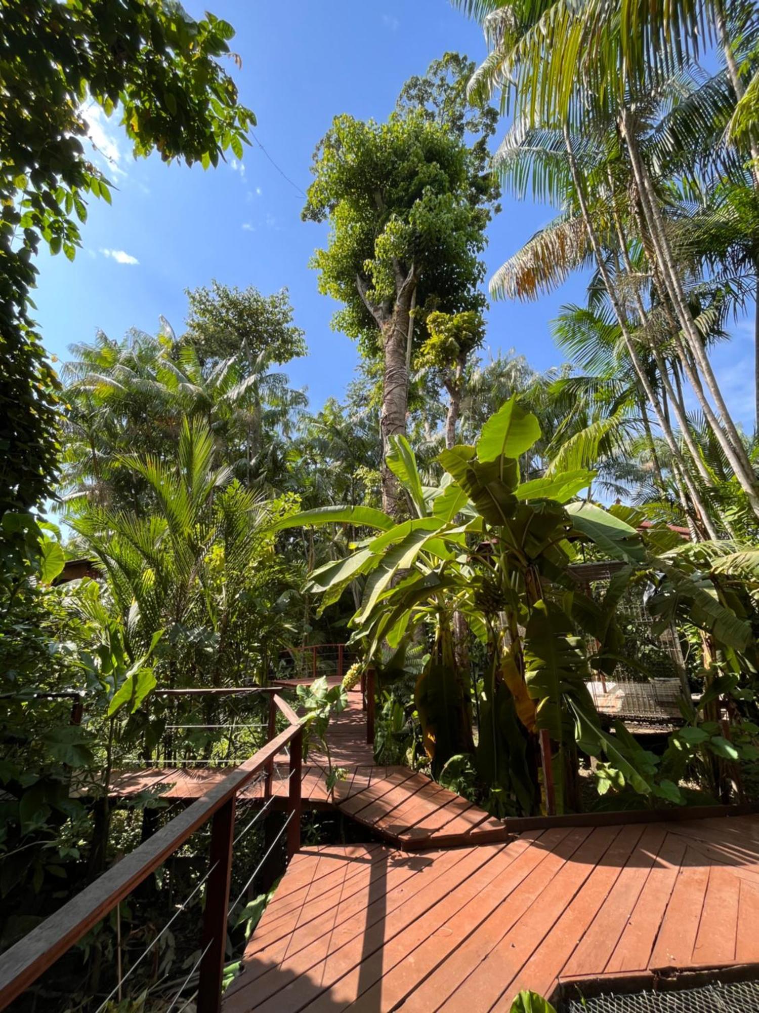 Olaria River Hostel เบเลม ภายนอก รูปภาพ