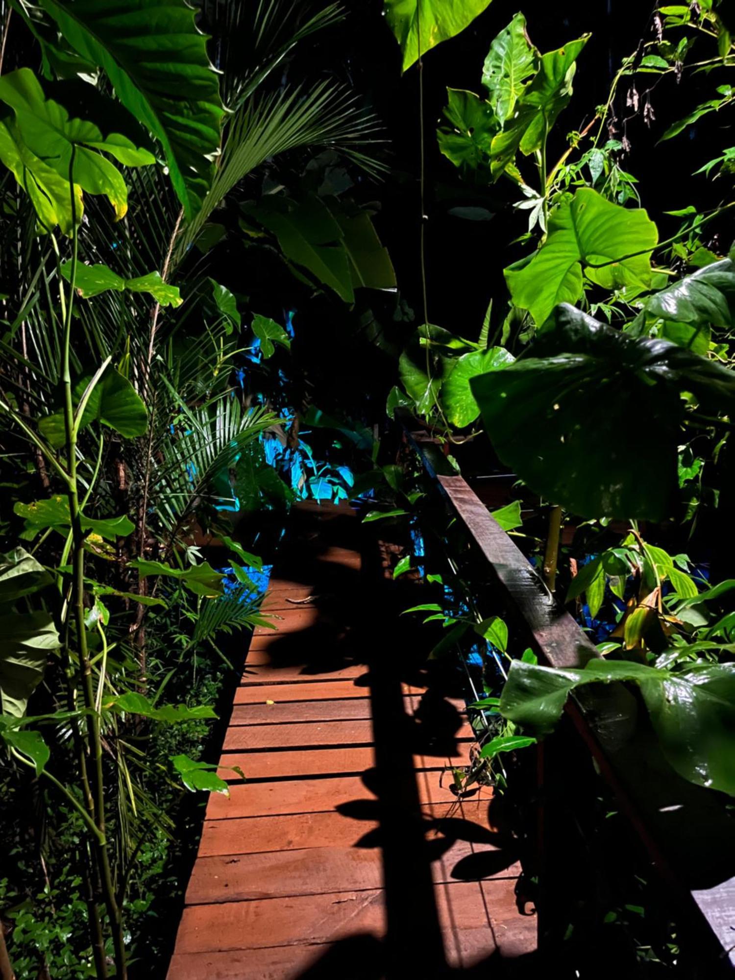 Olaria River Hostel เบเลม ภายนอก รูปภาพ