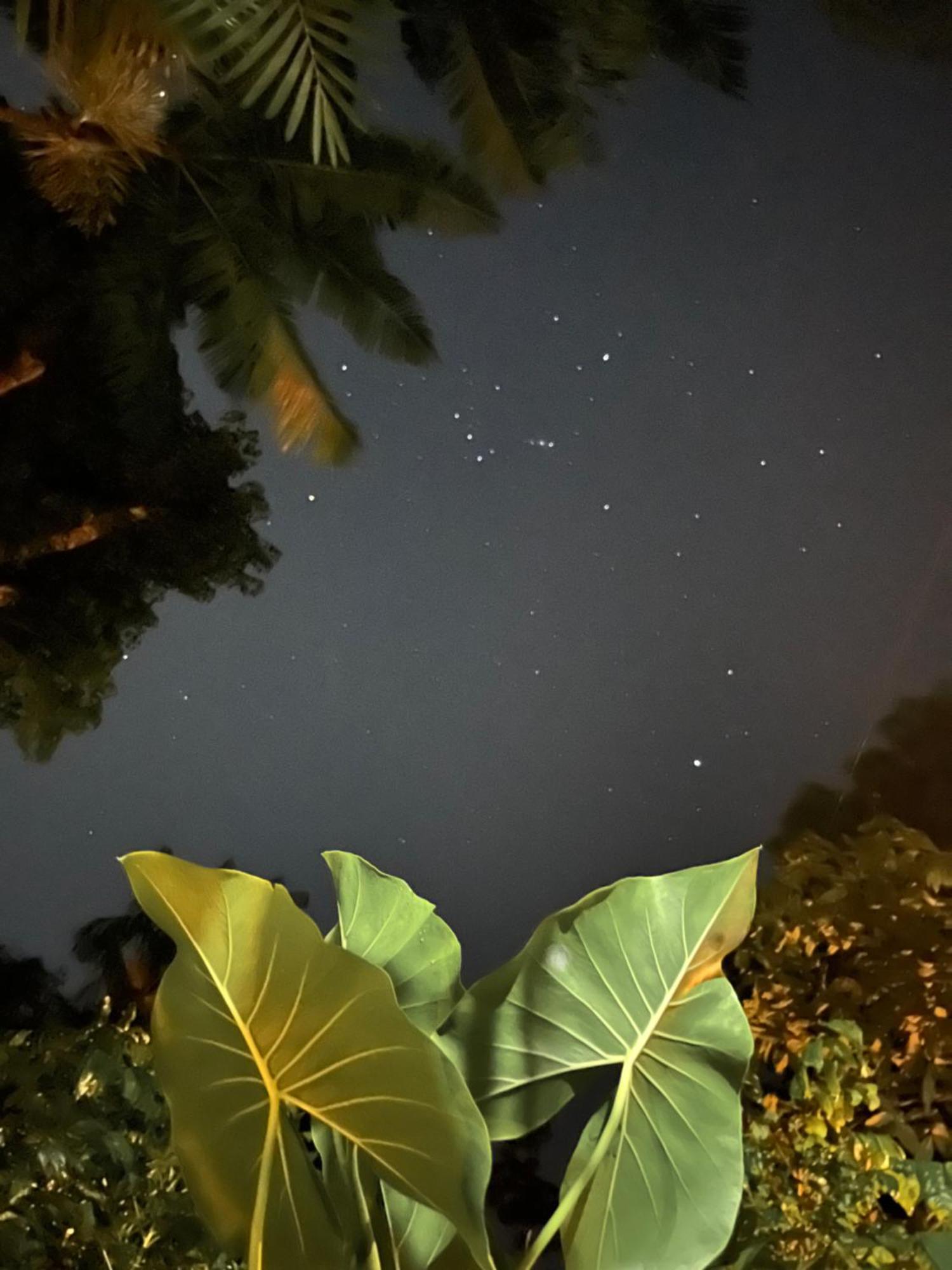 Olaria River Hostel เบเลม ภายนอก รูปภาพ