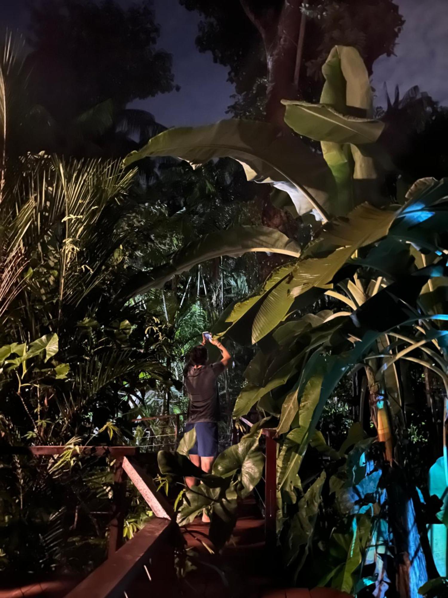 Olaria River Hostel เบเลม ภายนอก รูปภาพ