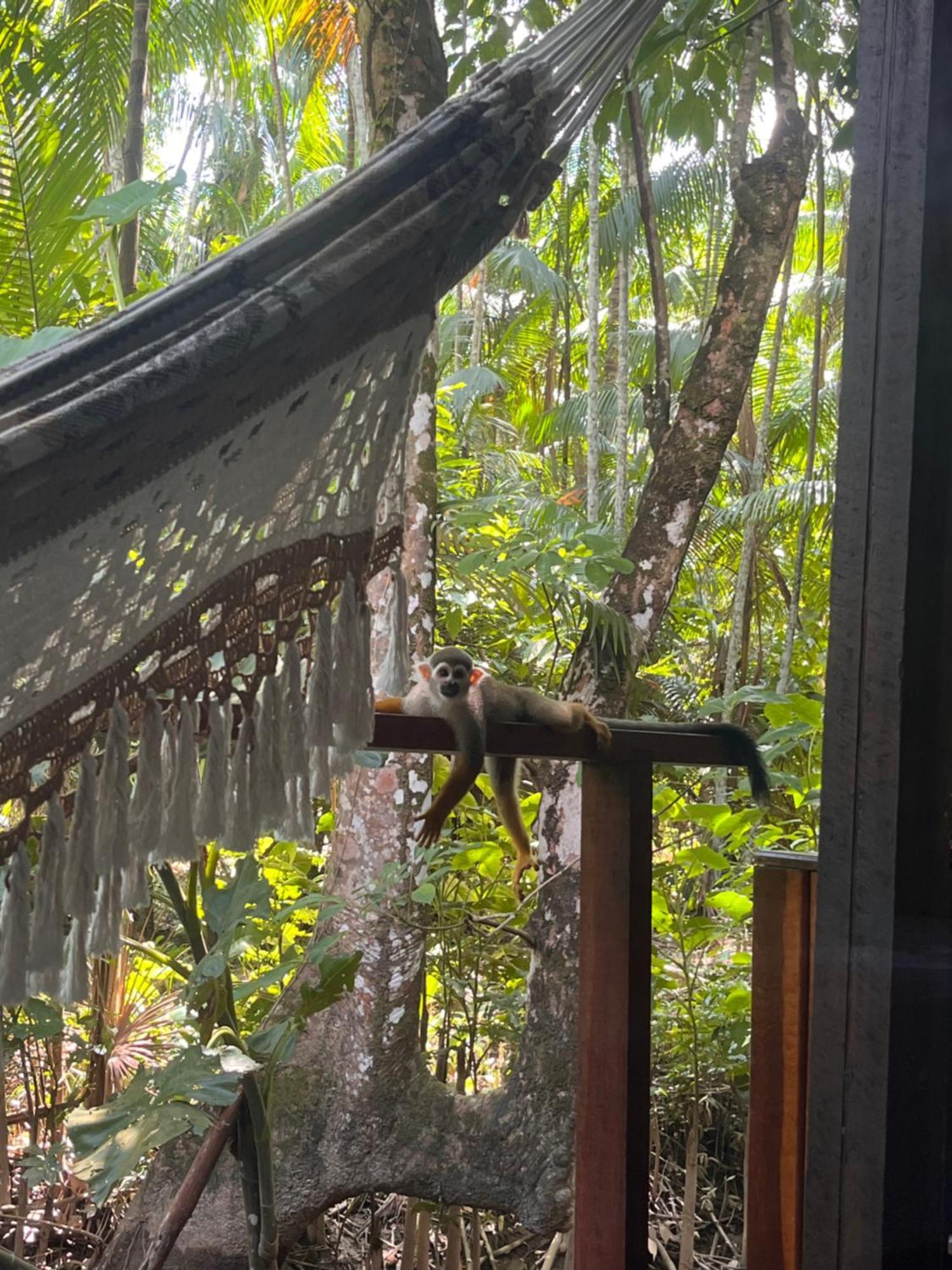 Olaria River Hostel เบเลม ภายนอก รูปภาพ